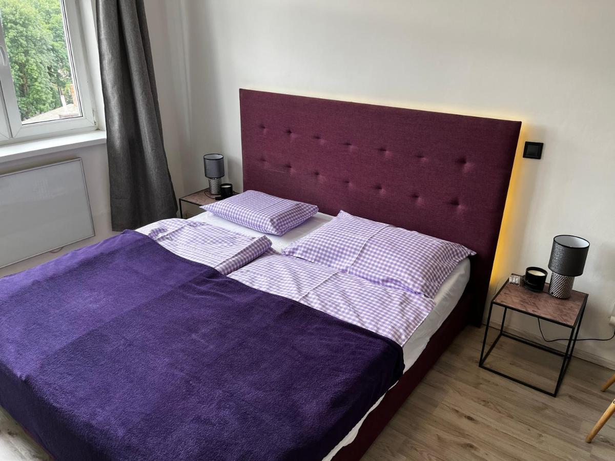 Large 3 Bedroom Apartment With City Skyline View カルロヴィ・ヴァリ エクステリア 写真