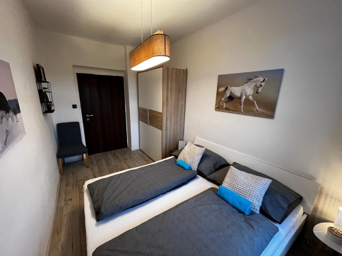 Large 3 Bedroom Apartment With City Skyline View カルロヴィ・ヴァリ エクステリア 写真