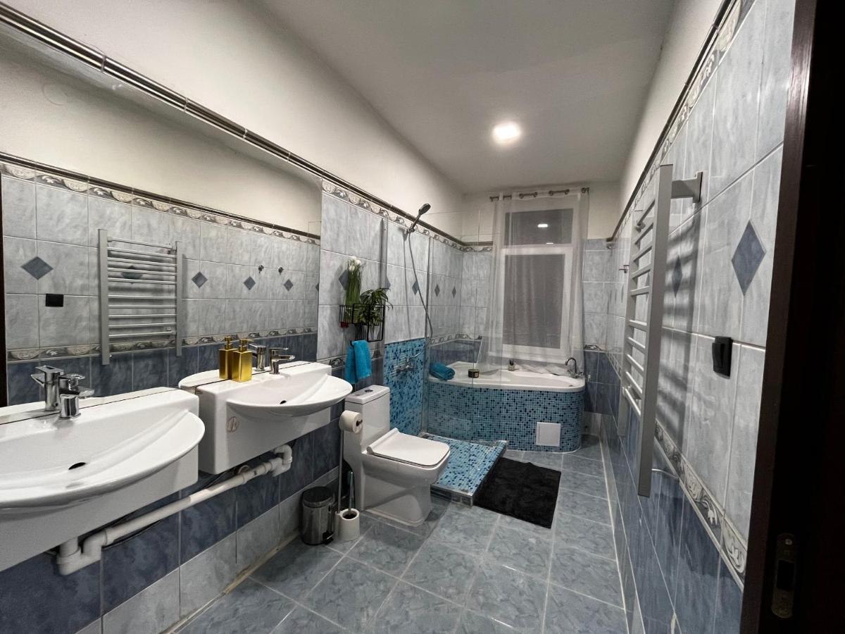 Large 3 Bedroom Apartment With City Skyline View カルロヴィ・ヴァリ エクステリア 写真