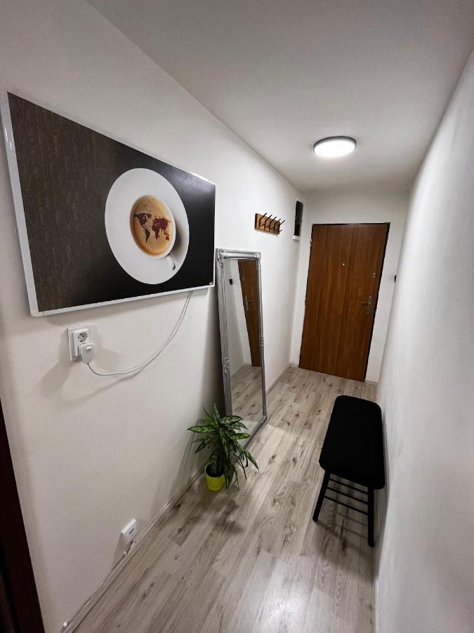 Large 3 Bedroom Apartment With City Skyline View カルロヴィ・ヴァリ エクステリア 写真