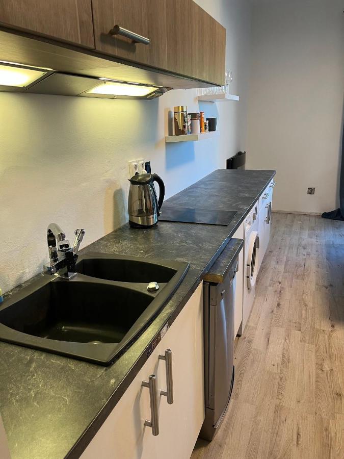 Large 3 Bedroom Apartment With City Skyline View カルロヴィ・ヴァリ エクステリア 写真